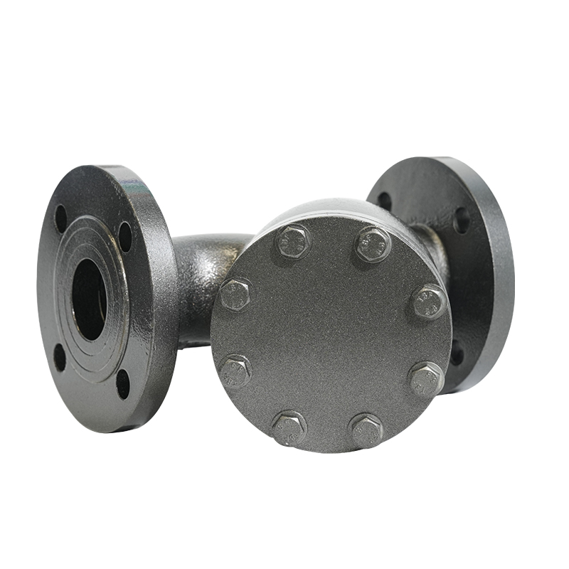 PN16 DN50/DN80 flanged ductile iron y-type strainer