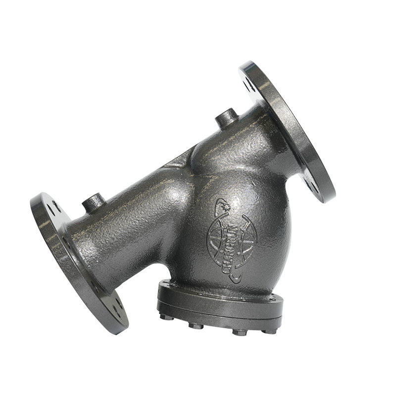 PN16 DN50/DN80 flanged ductile iron y-type strainer