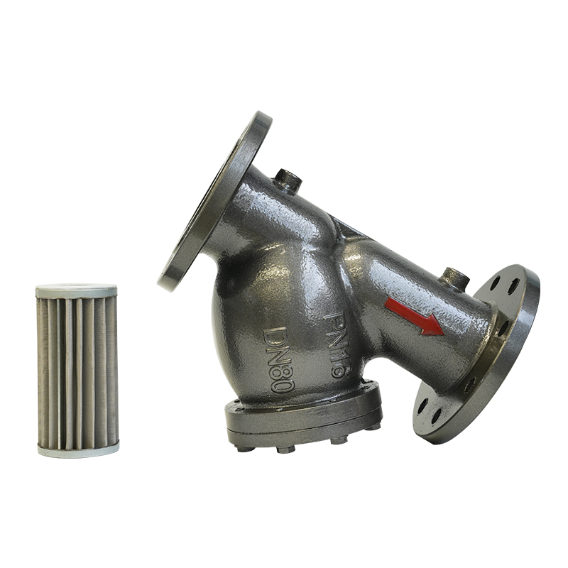 PN16 DN50/DN80 flanged ductile iron y-type strainer